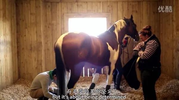 1628656083345480.jpg 18.jpg